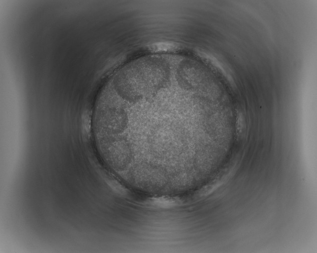 X0000111160545200908111156