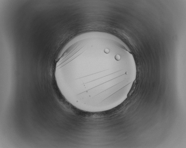 X0000111160546200908111156