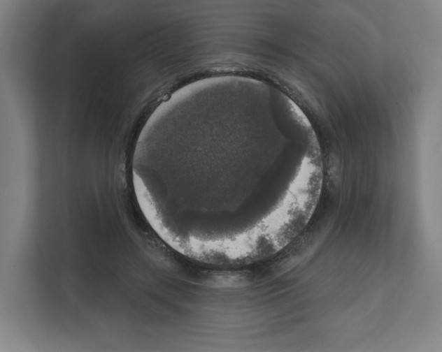 X0000111160547200908111156