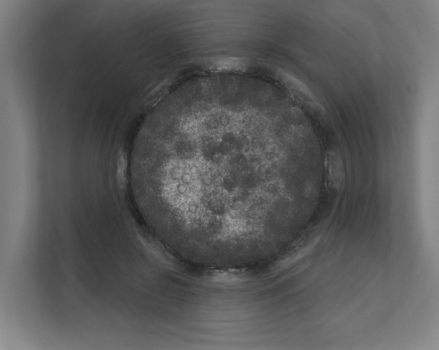 X0000111160550200908111156