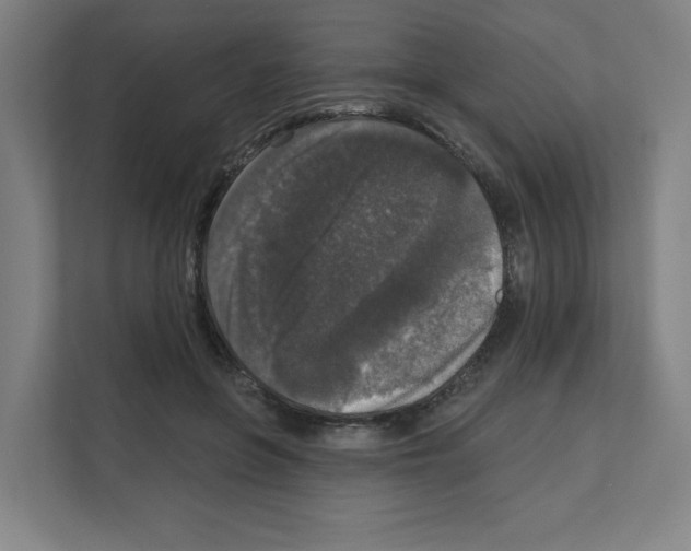 X0000111160551200908111156
