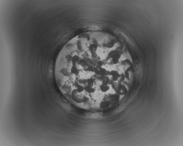 X0000111160553200908111156