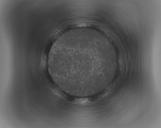 X0000111160554200908111156