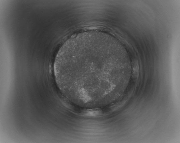 X0000111160555200908111156