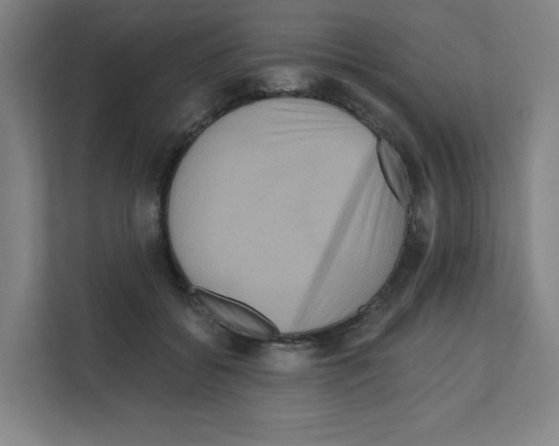 X0000111160556200908111156