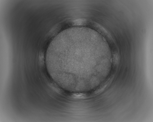 X0000111160557200908111156