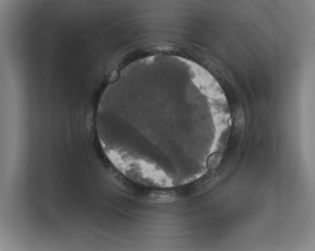 X0000111160559200908111156