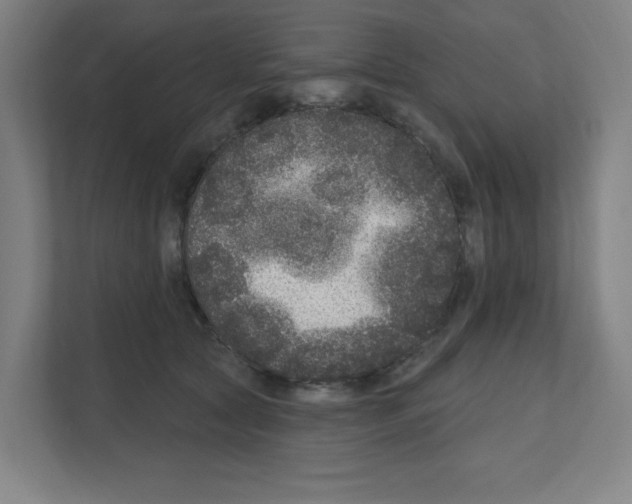 X0000111160561200908111156