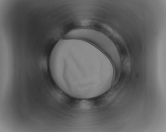 X0000111160562200908111156