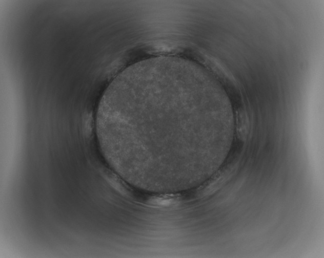 X0000111160563200908111156