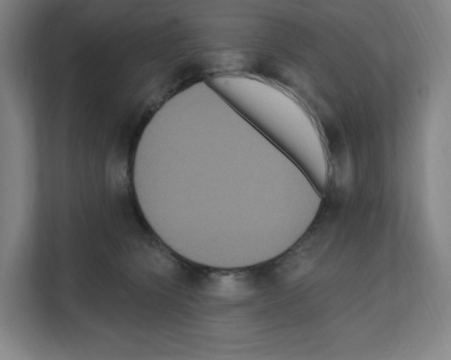 X0000111160564200908111156