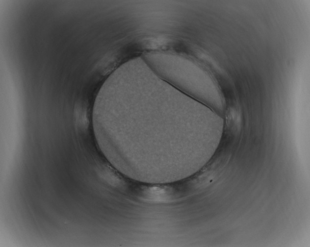 X0000111160566200908111156