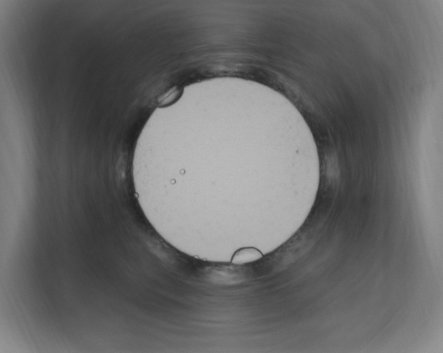 X0000111160567200908111156