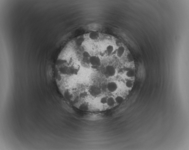 X0000111160569200908111156