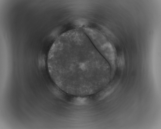 X0000111160570200908111156