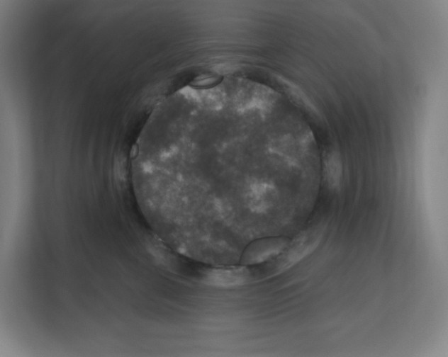 X0000111160571200908111156