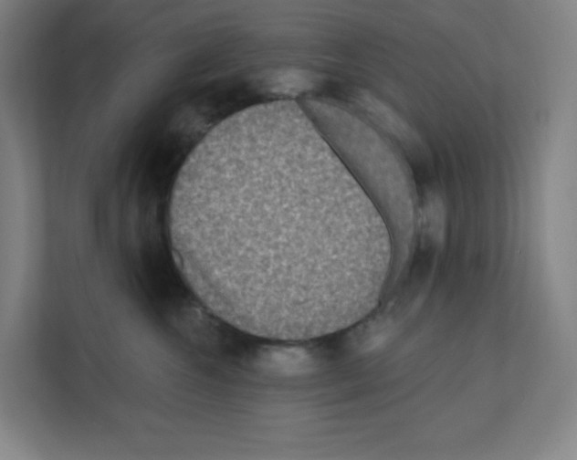 X0000111160572200908111156