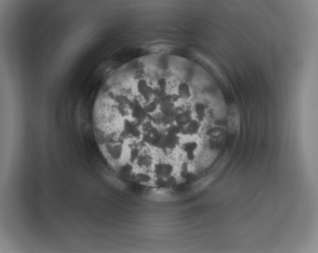 X0000111160573200908111156