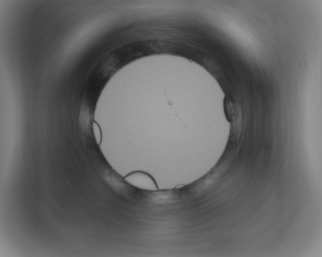 X0000111160574200908111156