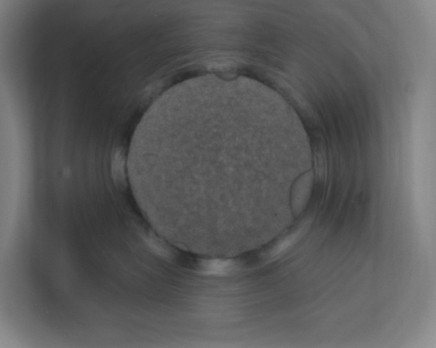 X0000111160575200908111156