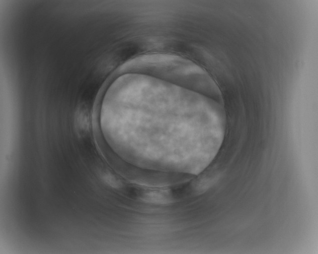 X0000111160576200908111156