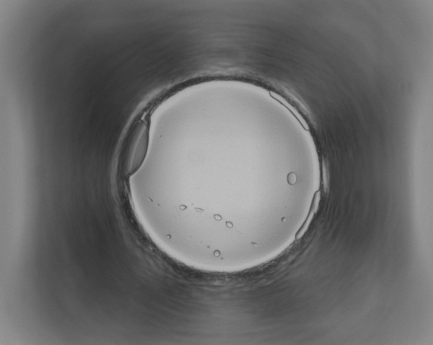 X0000111160579200908111155