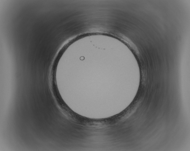 X0000111160580200908111155