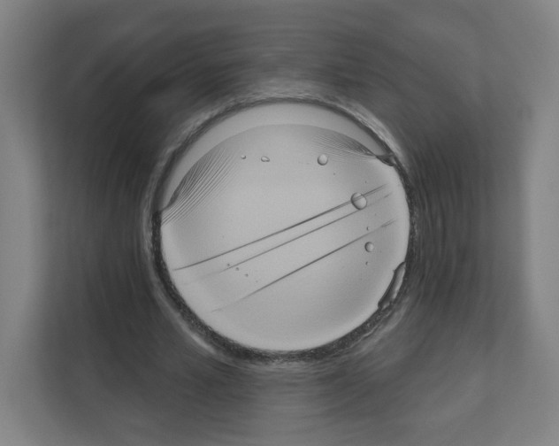 X0000111160581200908111155
