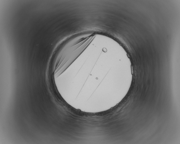 X0000111160583200908111155