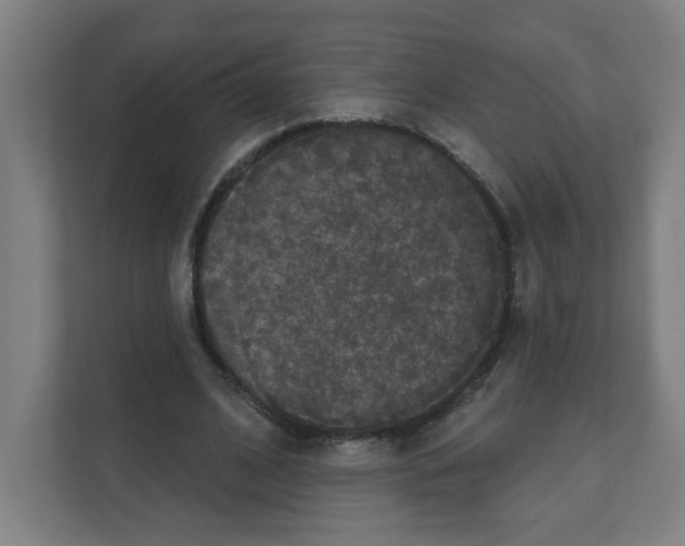X0000111160584200908111155