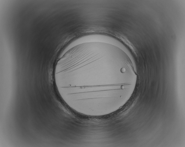 X0000111160585200908111155