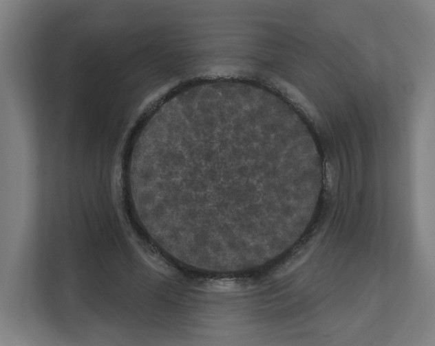 X0000111160588200908111155