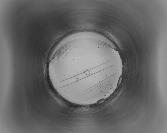 X0000111160589200908111155
