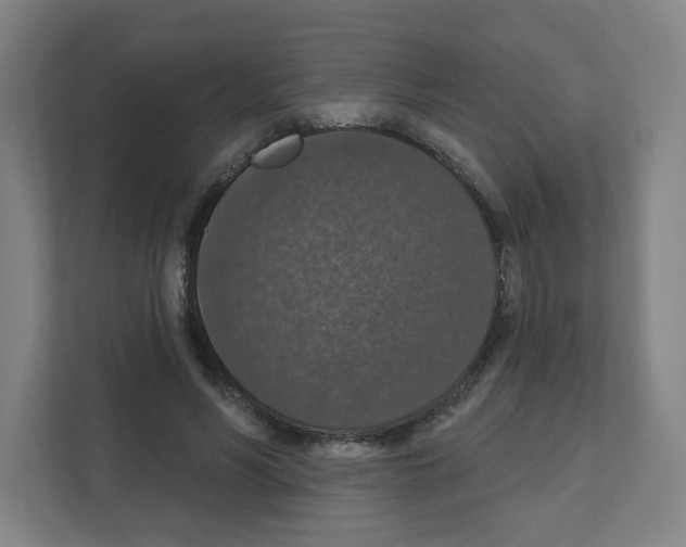 X0000111160590200908111155