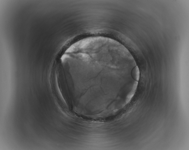 X0000111160592200908111155