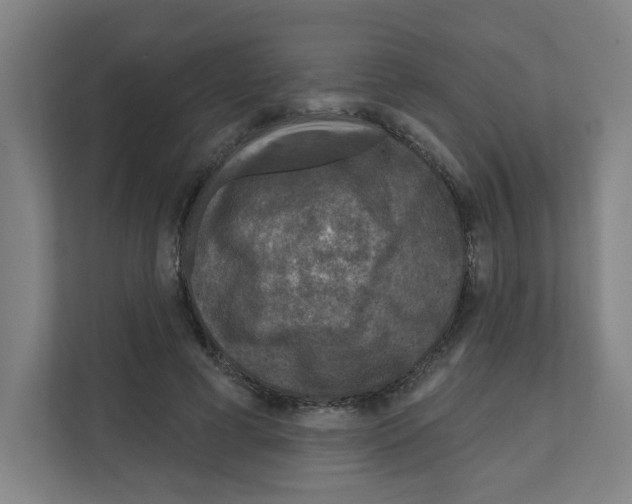 X0000111160593200908111155