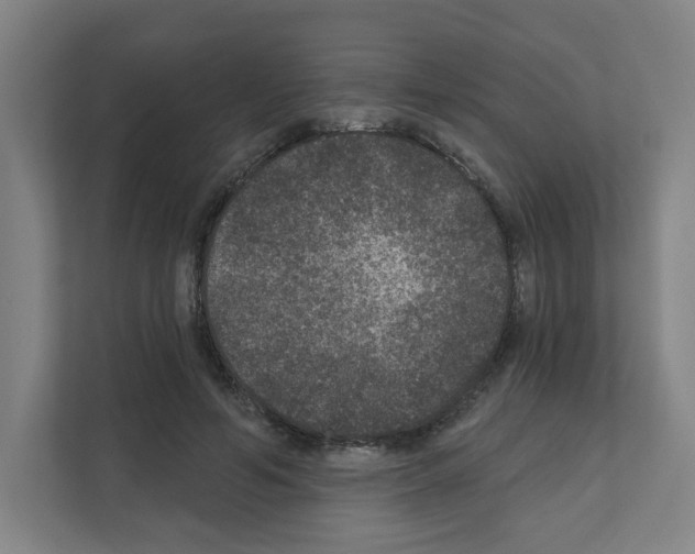 X0000111160594200908111155