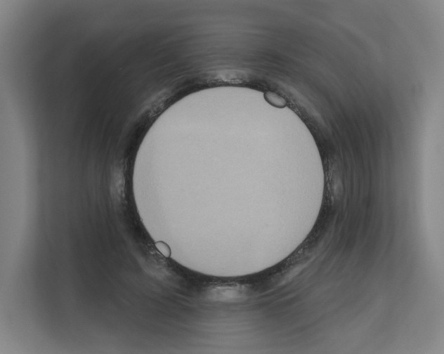 X0000111160595200908111155