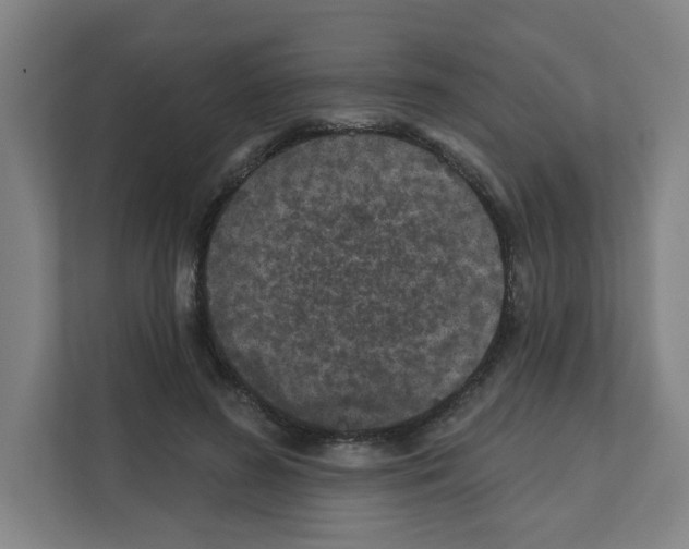 X0000111160596200908111155
