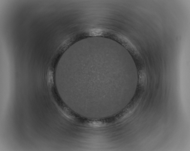 X0000111160598200908111155