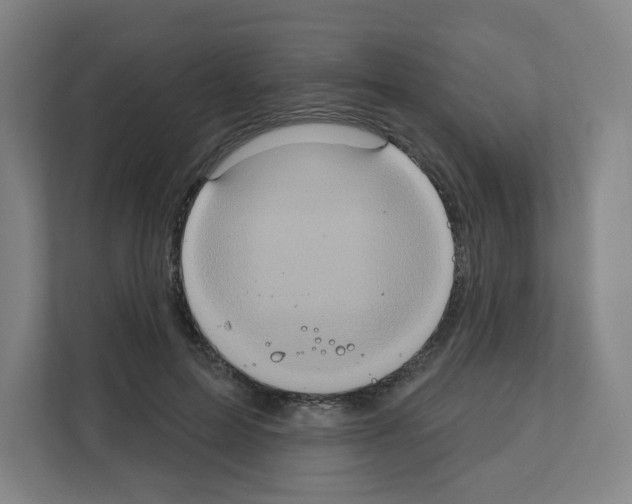 X0000111160599200908111155