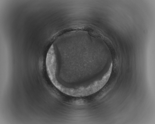 X0000111160600200908111155