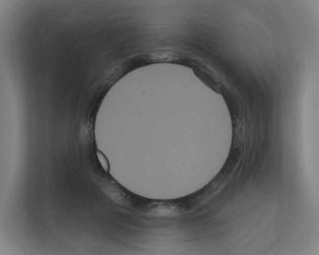 X0000111160601200908111155