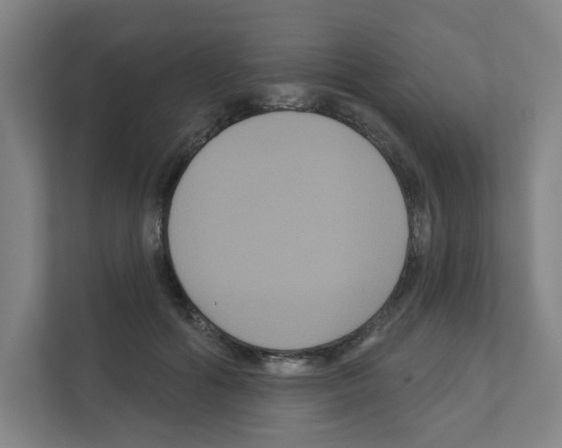 X0000111160602200908111155