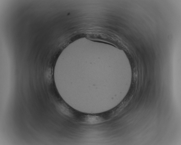 X0000111160605200908111155