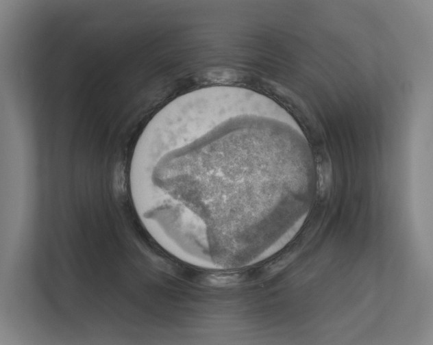 X0000111160606200908111155