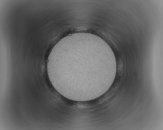 X0000111160608200908111155