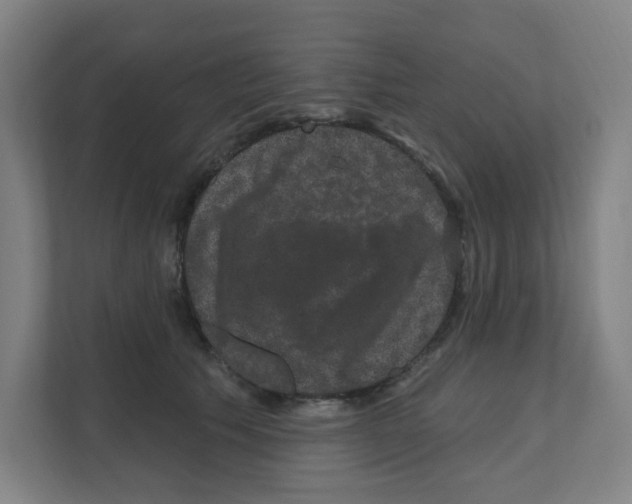 X0000111160609200908111155