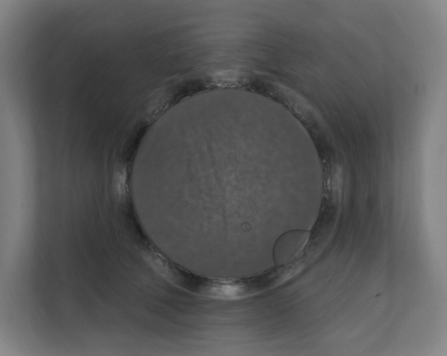 X0000111160610200908111155