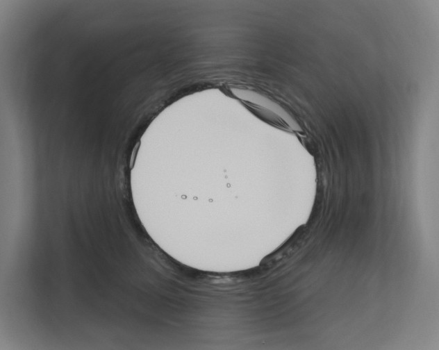 X0000111160611200908111155